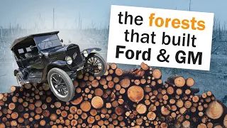 How Forests Built the Detroit Auto Industry