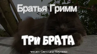 Три брата Братья Гримм