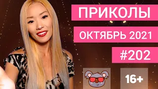 😂 ЛУЧШИЕ ПРИКОЛЫ ОКТЯБРЬ 2021 | Я РЖАЛ ДО СЛЕЗ | Выпуск №202