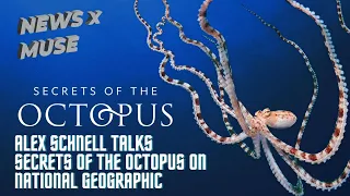 Alex Schnell Talks Secrets of the Octopus on National Geographic