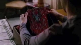 Spiderman Music Video/Nickelback - If Everyone Cared