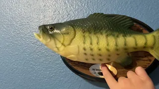 Big Mouth Billy Bass (I Will Survive/Don’t Worry, be Happy)