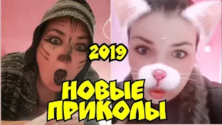 Я ржал пол часа . НОВИНКИ ПРИКОЛЫ 2019  Самые смешные, обхохочешься