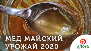 МАЙСКИЙ МЕД. Урожай 2020. ЧИСТЫЙ ЧЕРНОКЛЕН.