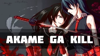 Akame Ga Kill「ＡＭＶ」1080 ᴴᴰ Akame vs. Esdeath