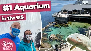 Monterey Bay Aquarium FULL TOUR | Is it the BEST Aquarium in the US?