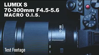 LUMIX S 70-300mm F4.5-5.6 MACRO O.I.S. TEST Footage