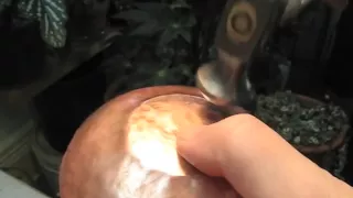 Raise a Copper Vessel 3 - Setting the base