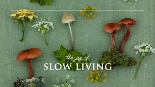 Slow Living | Life in Ireland | Daily Rituals | Self Care | Cosy November Day | Nature Sounds