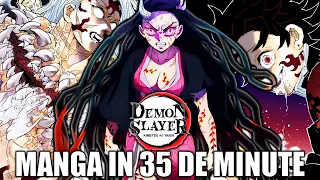 Demon Slayer in 35 De Minute (Sezonul Final)