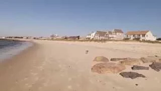 Smart Seagull drops crab on the fly to  break it