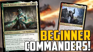 5 BEGINNER Budget Commanders For New Players! - Magic: The Gathering