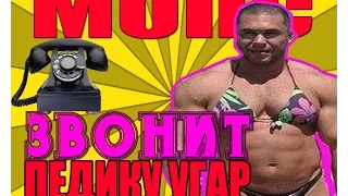 МОПС ПОЗВОНИЛ ПЕДИКУ И.... | СМОТРЕТЬ ВСЕМ. СМЕШНО | МОПС ДЯДЯ ПЕС