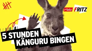 Alle Folgen von Neues vom Känguru reloaded | 5 Stunden | Marc-Uwe Kling | Känguru-Chroniken-Storys
