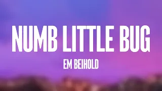 Numb Little Bug - Em Beihold |Visualized Lyrics| 🎻