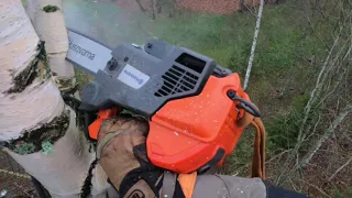 Удалили наклонённую березку с husgvarna 540xp и stihl ms361