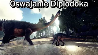 Oswajanie Diplodoka🦕 i levelowanie go - Ark Survival Evolved #79