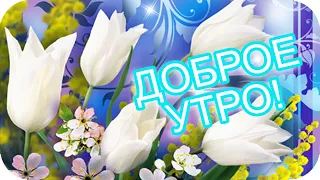 Доброе утро! ❤️Весеннего тепла я Вам желаю! ❤️Весеннее пожелание ❤️Good morning❤️