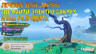 Лечение для сакуры. Где найти Электро сакуру и как разрядить. Достижение "План битвы при каннадзуке"