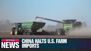 Beijing halts U.S. agriculture purchases as trade war with Washington escalates: Report