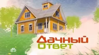 Дачный ответ - В лучах света 06.03.2016