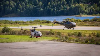 On-board Alouette II & III