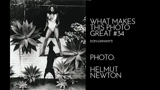 WHAT MAKES THIS PHOTO GREAT: #34 HELMUT NEWTON