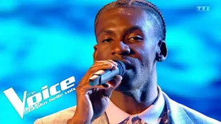 Céline Dion - S'il suffisait d'aimer - Charles Kaylan | The Voice 2022 | Cross Battles