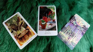 BẠN SẼ "GIÀU NHẤT" ĐIỀU GÌ TRONG 6 THÁNG CUỐI NĂM 2024? @EvelynTarot