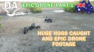 PIG HUNTING AUS WILD BOAR - PART 1 EPIC DRONE ....pig hunting and shooting wild hogs .44 mag