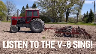 Massey Ferguson 1155 pure V8 noise!