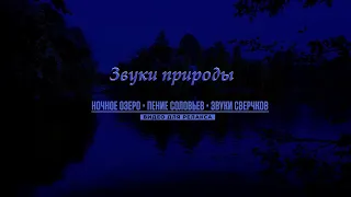 Звуки природы ночное озеро, пение птиц и звук сверчков  Фоновый звук победит усталость ирасслабишься