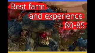 Best farm and experience 80-85 Лучший кач и екс 80-85