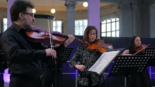 G. P. Telemann - Concerto per due viole  TWV. 52 -G3 - L. Mosca, G. de Rosa - Milano Classica