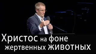 Христос на фоне жертвенных животных. Проповедь Александра Шевченко