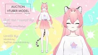 Showcase AUCTION Vtuber Model