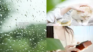 [RAIN] Kiss the rain, Yiruma - 1 Hour Relaxing Kalimba.