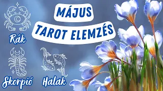 Rák♋Skorpió♏Halak♓május havi tarot előrejelzés✨🔮hangulat🎇szerelem💌💝munka/anyagiak💪💰