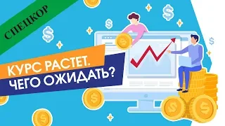 Курс растет. Чего ожидать в августе 2019?