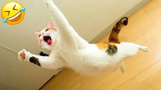 Funniest Animals 🤣 Best Funny Cats and Dogs Videos 😹🐶 Part 20