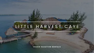 Little Harvest Caye - Epic Private Island Rental in Placencia, Belize