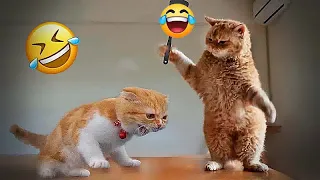 Hilarious Cats and Dogs🐶Funniest Animals 2024🤣 😹