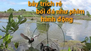 bẫy chim trích ré | bổi bay như phim lụp sập chật lấc | thế hiển cà mau 0914395359