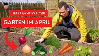 Gartenarbeiten April - Hochbeet, Aussaat, Unkraut, Kompost