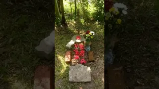 My miow cat passed away and buried in the garden (4)