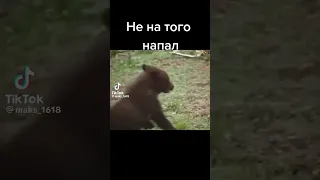 Не на того напал