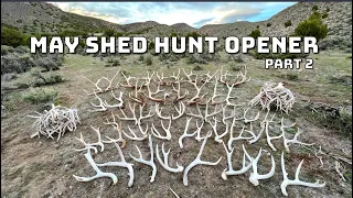 MAY SHED HUNT OPENER 2023 PART 2