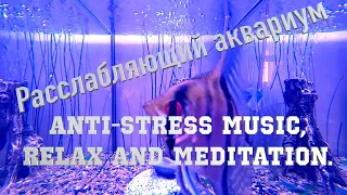 Расслабляющий аквариум / Anti-Stress Music, Relax.