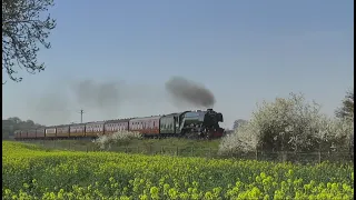 Steam Locomotives In The Countryside #2