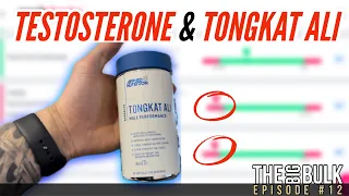 TESTOSTERONE AND TONGKAT ALI // BLOODWORK // THE BIG BULK Ep.12